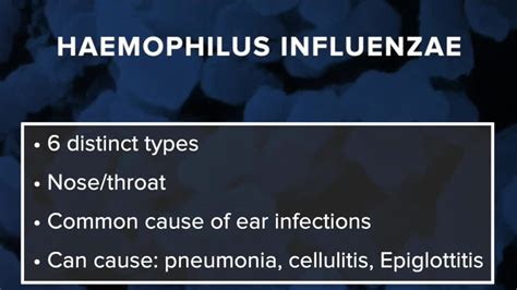Haemophilus Influenzae: Symptoms, Causes & Treatment .